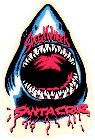 Santa Cruz Shark