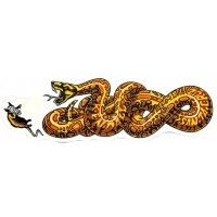 Jeff Kendall Snake