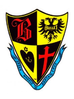 Bullet Wheels Shield