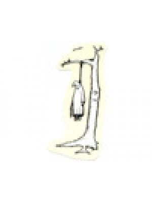 Real - Jim Thiebaud KKK