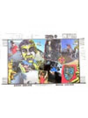 Lance Mountain Book Cover