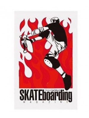 Transworld Skate Flame