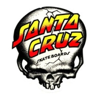 Santa Cruz Skull