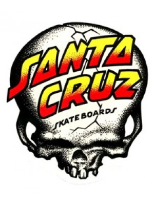 Santa Cruz Skull