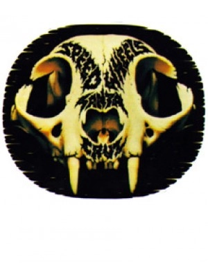 Speed Wheels Skull