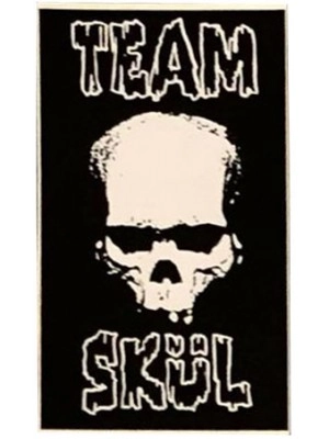 Team Skul