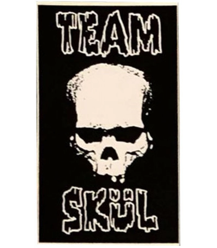 Team Skul
